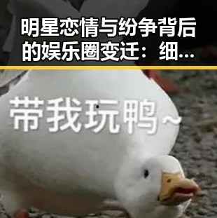明星恋情与纷争背后的娱乐圈变迁：细节解读