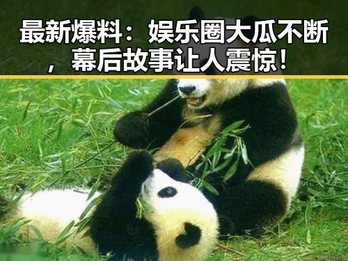 最新爆料：娱乐圈大瓜不断，幕后故事让人震惊！