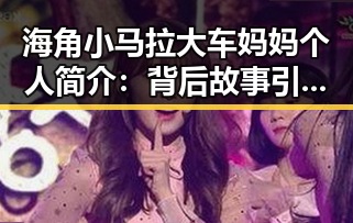 海角小马拉大车妈妈个人简介：背后故事引发网友热议